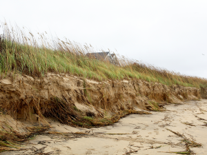 Beach Waterfront Erosion